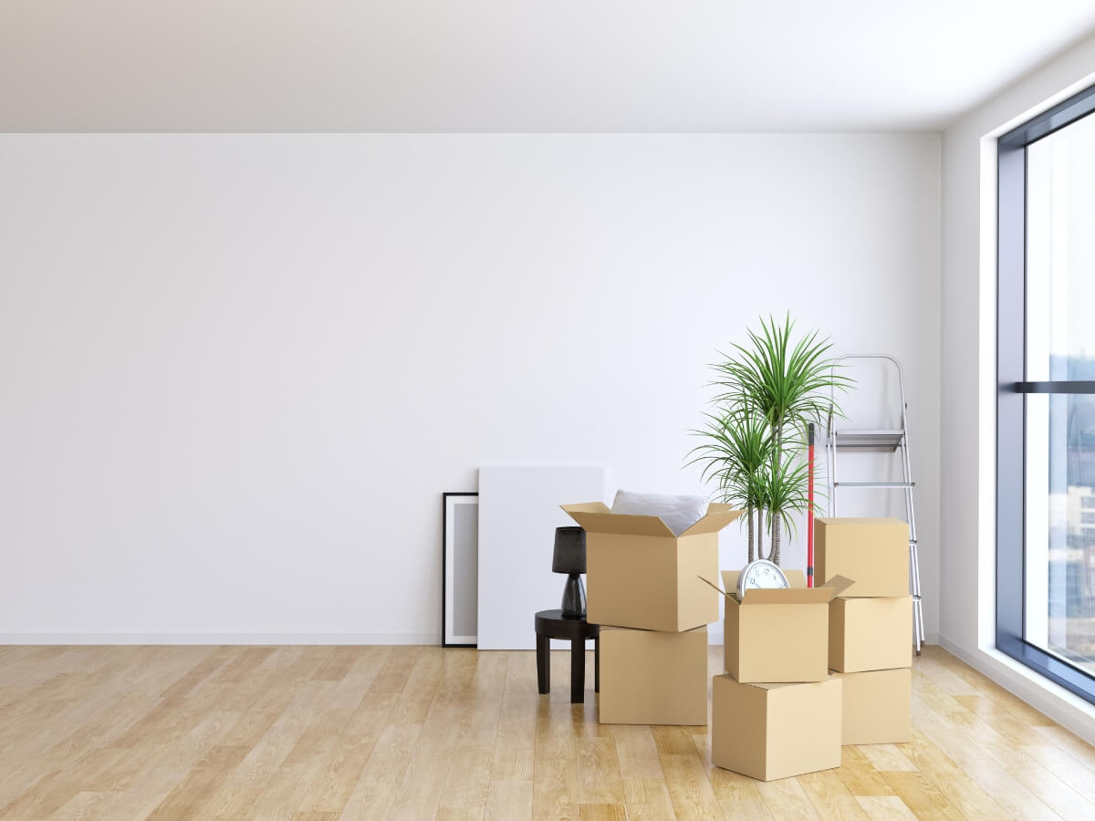 Get Cleaning Services in Coconut Grove | Bright Cleanup Management A empty and clean living room cleaned by Bright Cleanup in Coconut Grove