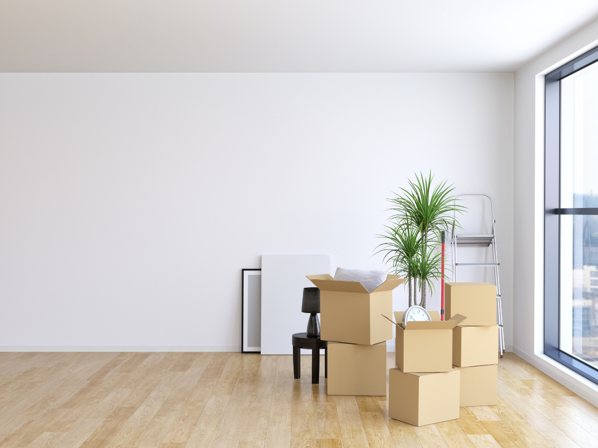 Get Cleaning Services in Pinecrest, FL | Bright Cleanup Management move out cleaners Miami 1
